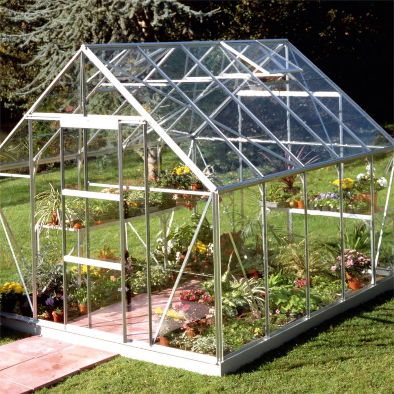 BandQ 10 x 8 Single Door Aluminium Greenhouse With Horticultural Glass and Base