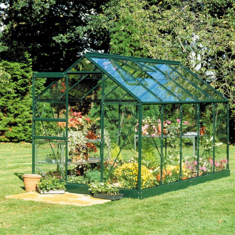 8 x 6 Single Door Greenhouse With Toughened Glass & Base Green Painted Finish