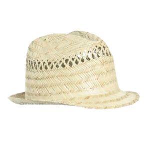 Mens Trilby Hat