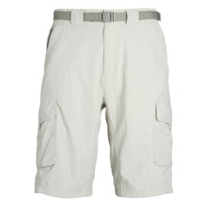 Men's Silver Ridge Shorts