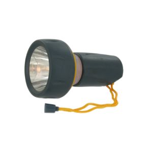 Duo 2 in 1 AA Torch