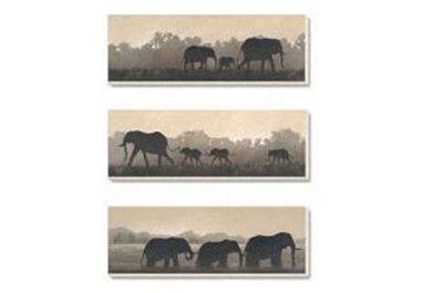 Unbranded Pictures Elephant Trio (set of 3)