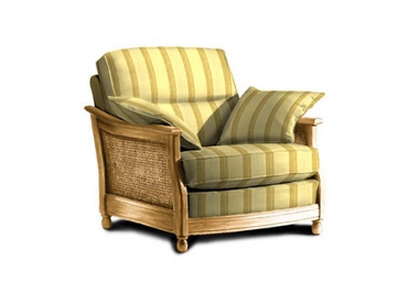 Unbranded Ercol Bergere Easy chair with cane sides (G)