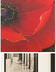 Pictures