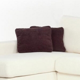 Ventura Pair of scatter cushions
