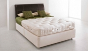 VI-Spring Elite Bed