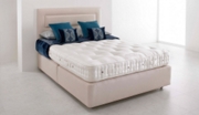 VI-Spring Tiara Supreme