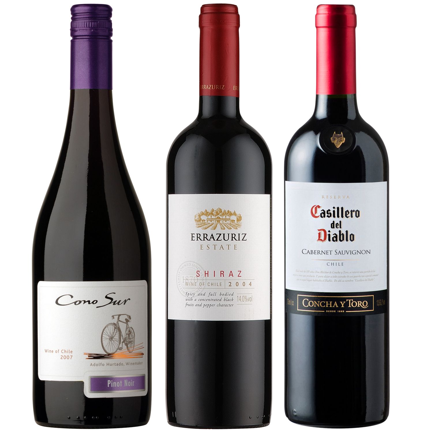 Chilean Saver Reds