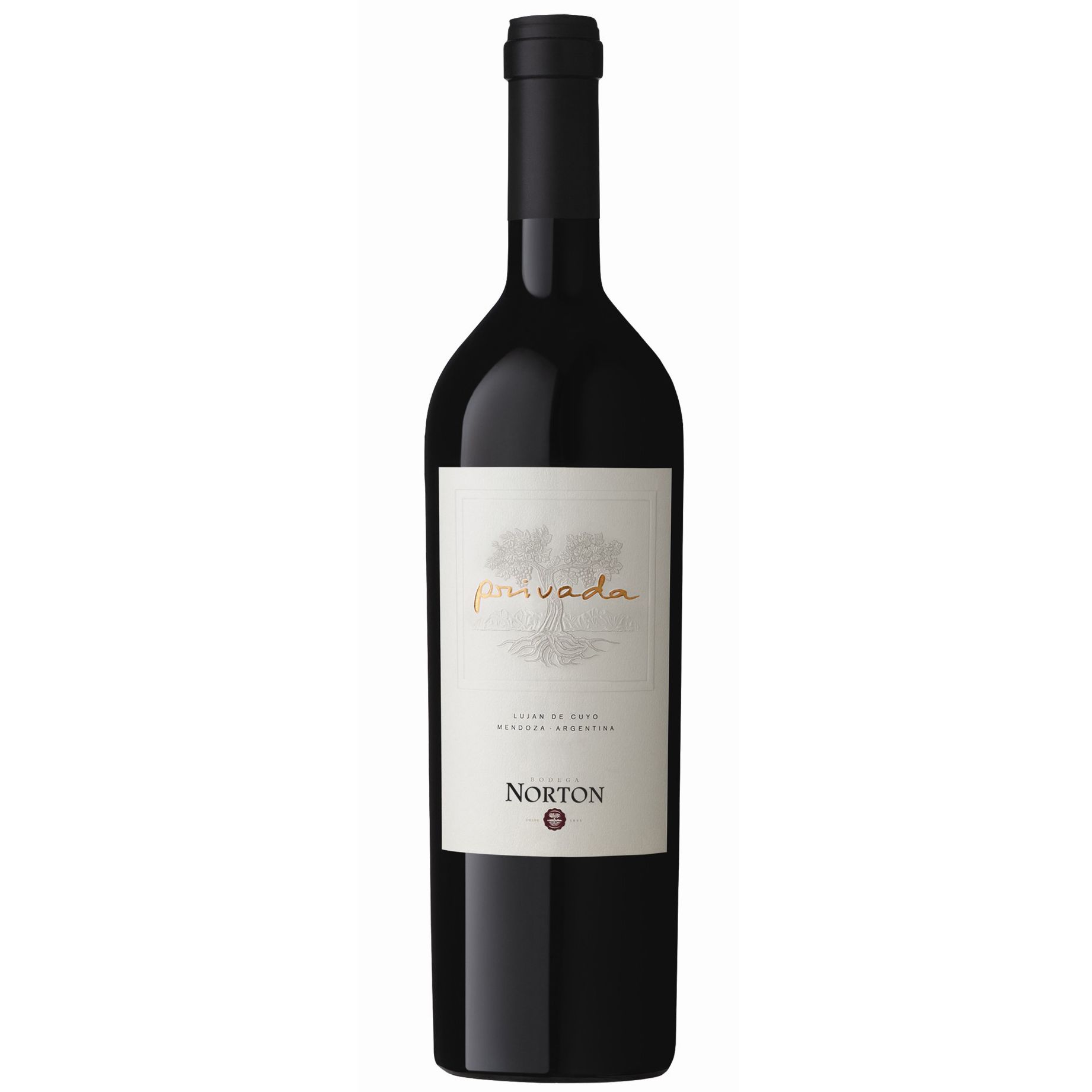 Norton Privada Lujan de Cuyo 2006 Mendoza, Argentina