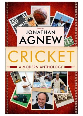 Hinari Led Iron HIN028