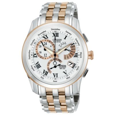 citizen eco drive two tone