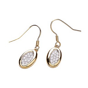 Buckley Oval Crystal Set Drop Earrings