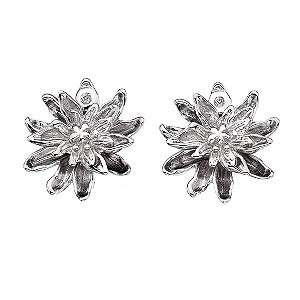 Hot Diamonds Sterling Silver Stud Earrings