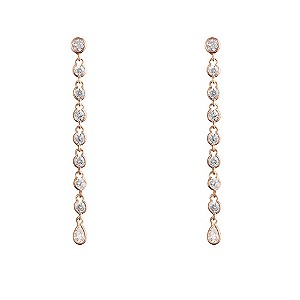 Gaia Rose Gold-Plated Cubic Zirconia Drop Earrings