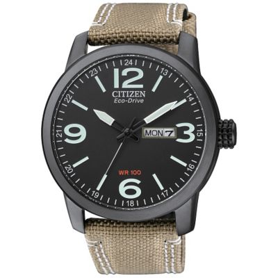 black citizen eco drive mens watch