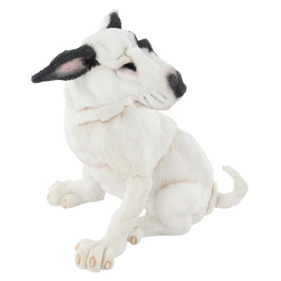 A Breed Apart - Snout