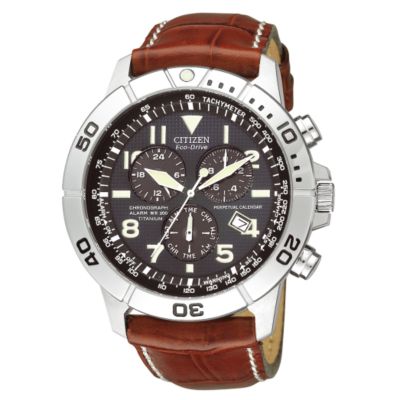 Citizen Eco-Drive Perpetual Calendar men's watch