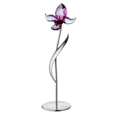 Swarovski Crystal - Fuchsia Rain Dorora - Product number 5706513