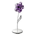 Tanzanite Darany'