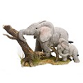 Tuskers - Clearing the Way