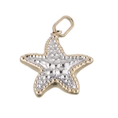Starfish Charm - Product number 6302130