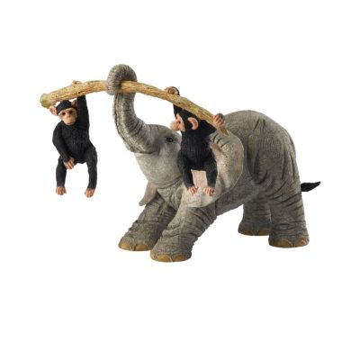 Tuskers - Workout - Product number 6437885