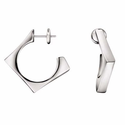 Calvin Klein earrings