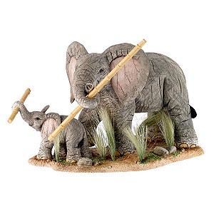 Tuskers Finding the Way