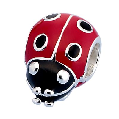 Truth silver ladybird charm
