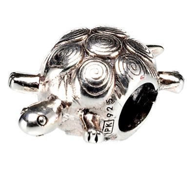 Truth Sterling Silver Turtle Charm