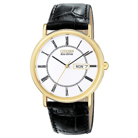 mens gold-plated Eco-Drive watch