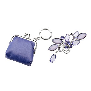 Classic Collection Ladies Keyring, Purse and Brooch Gift Set
