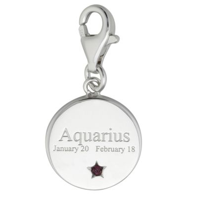 Boho Soho Zodiac Aquarius Charm - Product number 6863515