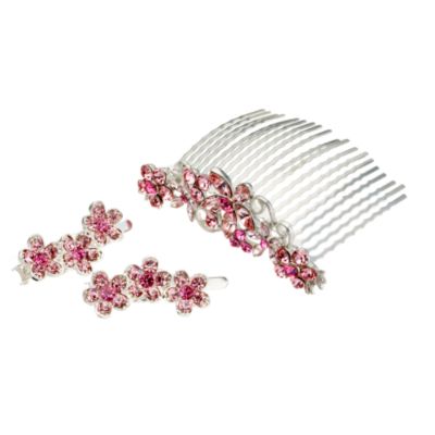 Rose Comb and Slide - Product number 6903746
