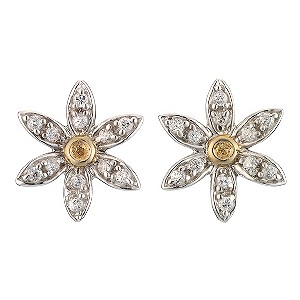 9ct Yellow Gold and Silver Flower Earrings