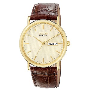 Citizen Men's Gold-Plated eco-Drive Watch