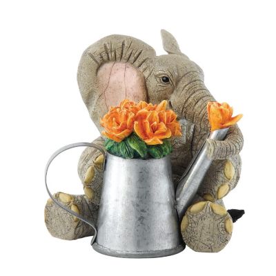 Tuskers - Forever In Bloom - Product number 8548897