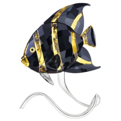 Swarovski - Jonquil Angelfish - Product number 8623503