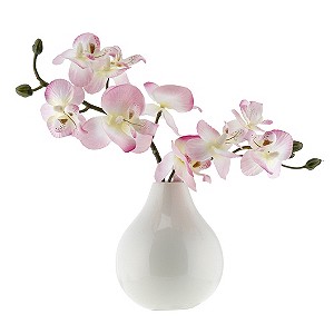 Special Memories Orchid Ceramic Vase