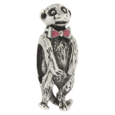 Truth Sterling Silver Meerkat Bead