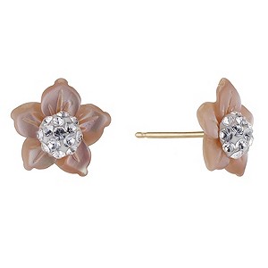 Evoke 9ct Yellow Gold Mother of Pearl Stud EarringsEvoke 9ct Yellow Gold Mother of Pearl Stud Earrin
