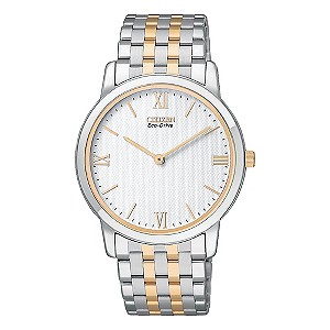 Citizen Eco-Drive Men's Two Tone Bracelet Watch
