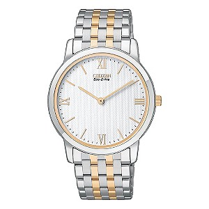 Citizen Eco-Drive Men's Two Tone Bracelet Watch