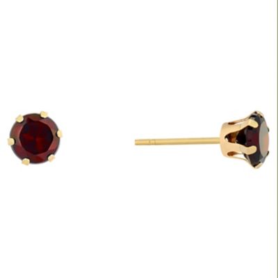 9ct Yellow Gold Garnet Stud Earrings