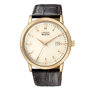 Citizen Eco Drive Men's Vintage Strap Watch